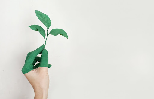 Person holding a green leaf to represent sustainability